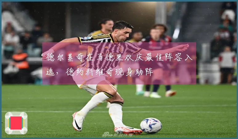 德尔基奇在马德里欢庆最佳阵容入选，德约科维奇现身助阵