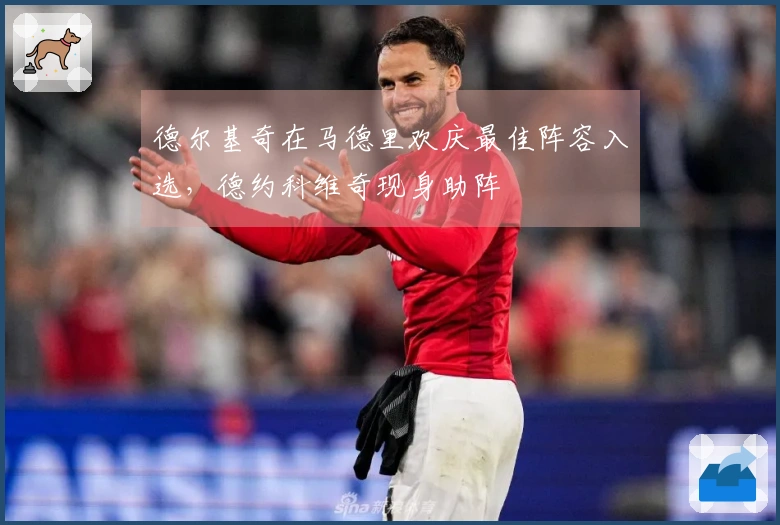 德尔基奇在马德里欢庆最佳阵容入选，德约科维奇现身助阵